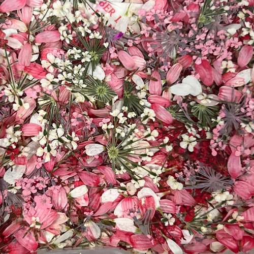 日系复旧怀旧混色干花碎花美甲彩色花瓣装饰品指甲配件混装花材