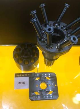 适用SAUER萨澳51V110、51C110、51D110系列等液压柱塞泵配件