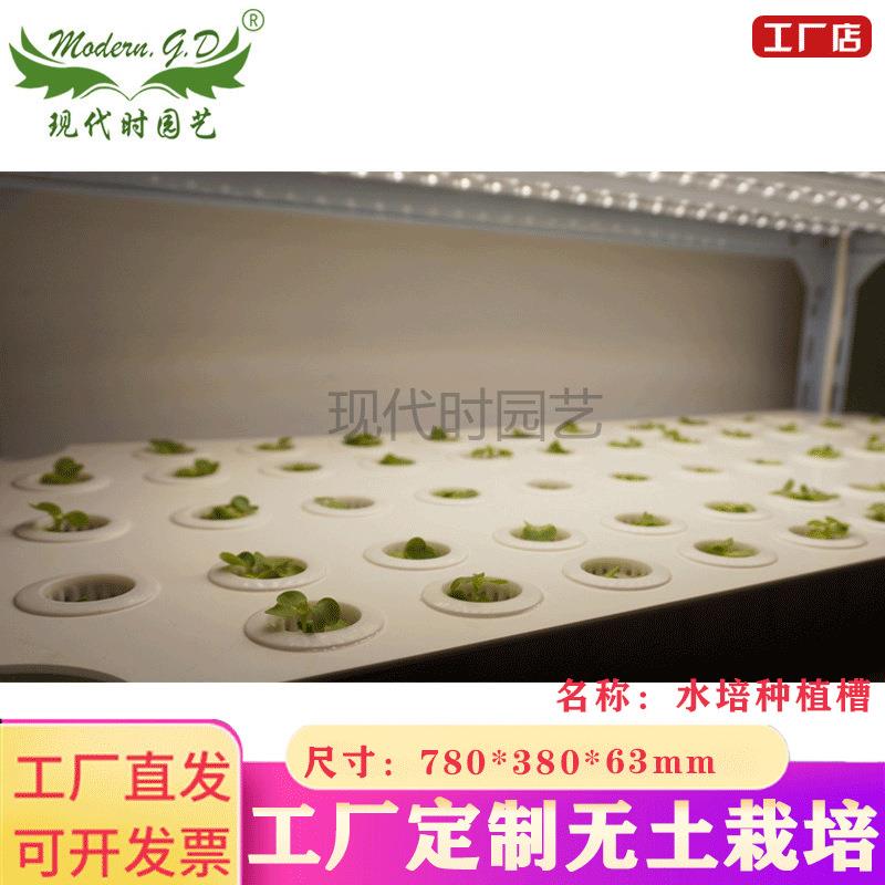 无土栽培水培种植槽大号育苗盘床蔬菜草莓种植设备器皿销售