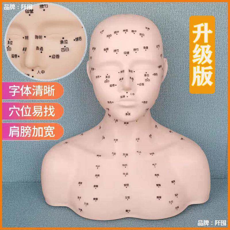 。美容院练习脸部穴位按摩手法假人头光头模型带肩膀皮肤管理模
