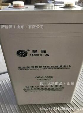 圣阳蓄电池GFM-300C中继站电视转播站机房2V300A机房通讯基站电源