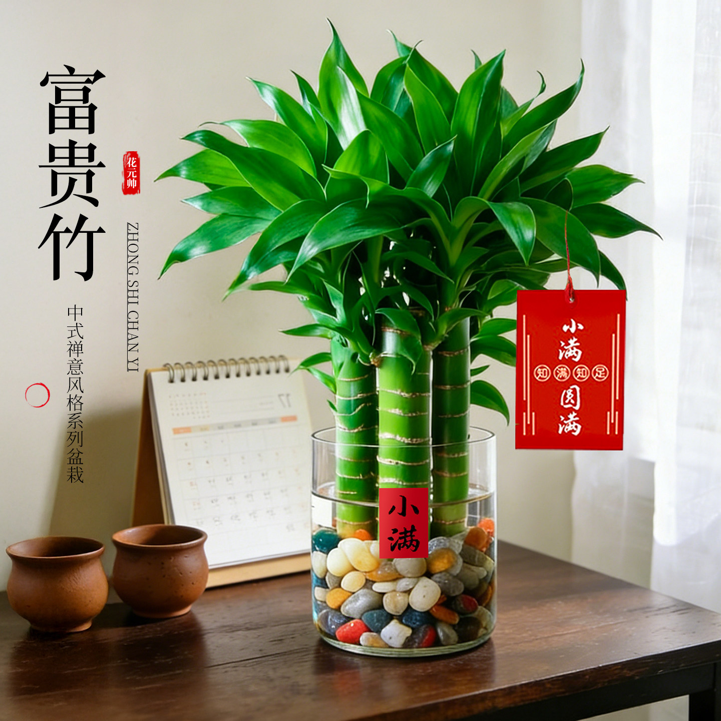 富贵竹水培植物室内旺宅盆栽办公室桌面招财绿植摆件懒人四季好养,鲜花速递/花卉仿真/绿植园艺,绿植,淘宝优惠券,粉丝福利购,淘宝优惠卷