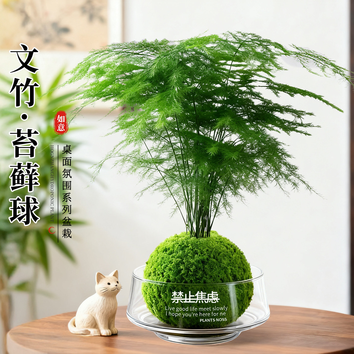 文竹盆栽室内水培绿植工位客厅桌面花卉盆景植物懒人好养四季常青