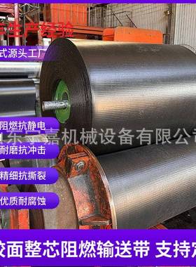 PVG800S-800mm整芯阻燃输送带阻燃抗静电PVG800S橡胶面整芯阻燃带