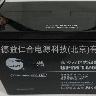 三瑞蓄电池6FM10012v100AH铅酸蓄电池