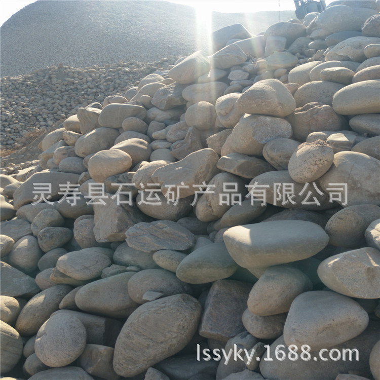 大量供应 自然鹅卵石 园林园艺装饰造景公园铺路用鹅 河沙石、砾