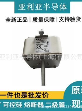 电子元器件170M6211170M6212170M6213电流保护陶瓷熔断器现货