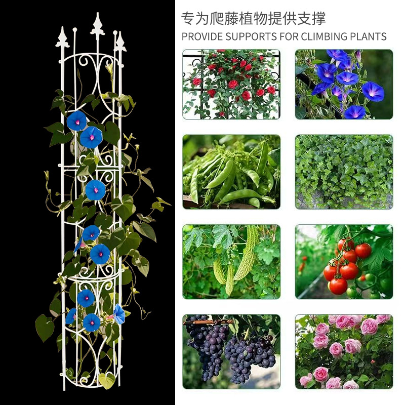 庭院户外蔷薇月季半圆爬藤架阳台花园铁线莲植物攀爬花架撑花支架