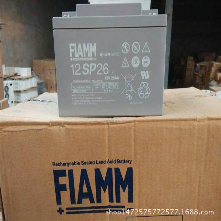 非凡2SLA100/G2V100AH蓄电池意大利非凡2V100AH