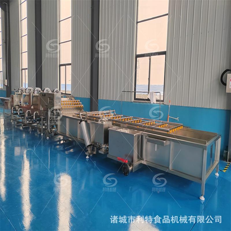 葡干气泡DZZ清洗机葡萄干杏干仁萄水果清洗风干干流水线按需匹配