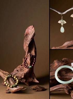 新中式沉木造景枯木拍照道具中国风首饰静物摄影树枝木头装饰摆饰