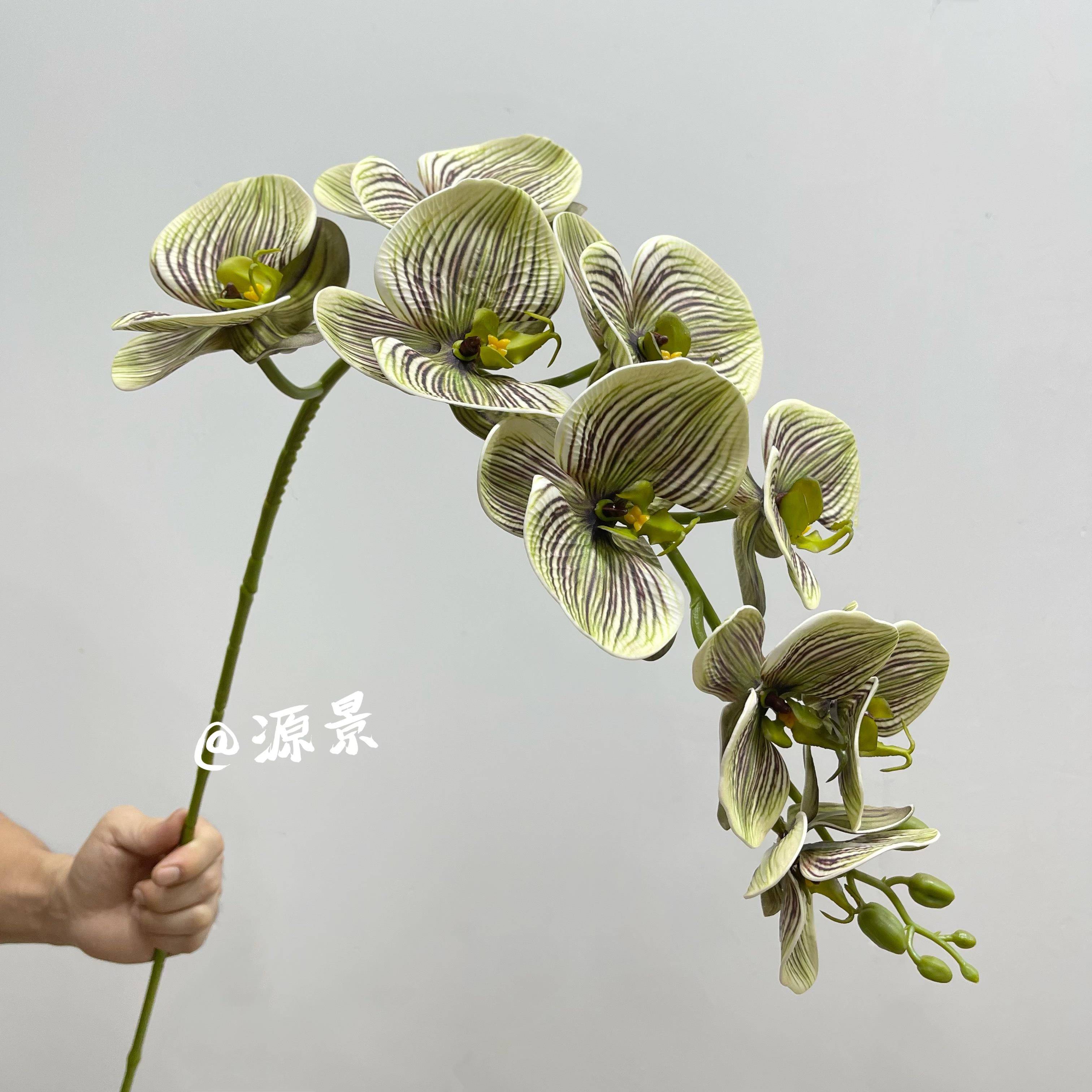 白色蝴蝶兰人造花高品质单兰花人造花塑料花桌装饰插花不朽花