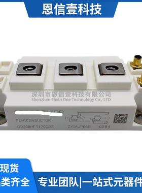 GD300HFT170C2SGD200HFY120C2SGD450HFY120C2SGD150HFT170C2S