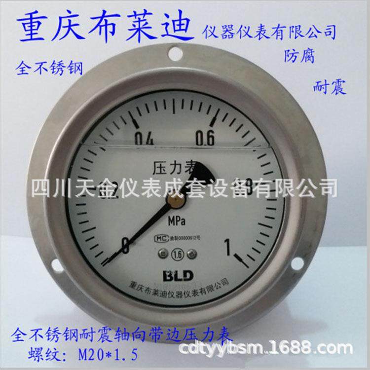 重庆布莱迪仪器仪表有限公司YTN-100HZT不锈钢耐震压力表M20*1.5,玩具/童车/益智/积木/模型,毛绒/玩偶/公仔/布艺类玩具,淘宝优惠券,粉丝福利购,淘宝优惠卷