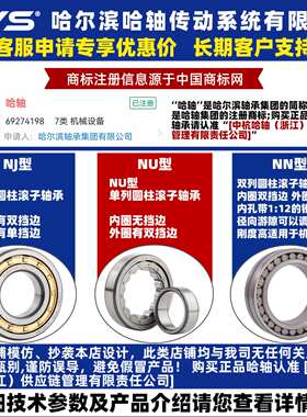 RYS 哈轴传动  N RN NF NU NJ NUP 211 212 213 M EM  圆柱滚子