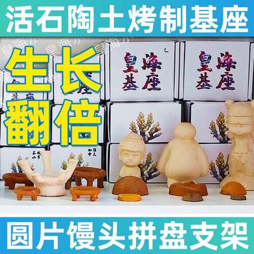 皇海水族珊瑚座扣繁殖基底座硬断枝瓦片骨YDH拼盘纽四角脑支架海