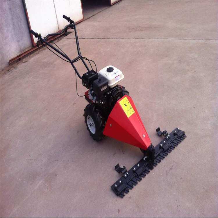 手推式割草机 自动行走除草机 园林用手扶剪草机视频 图片