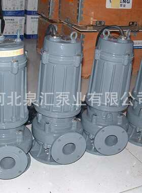 潜污泵 大型排污泵 无堵塞排污泵500WQ2000-15-110 高扬程