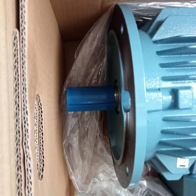 丹麦霍尔Hoyer电机MS100L2-2专注行业23年信誉强口碑好