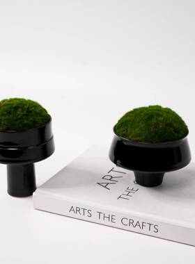 现代新中式永生仿真苔藓绿植盆景黑色小杯型创意摆件桌面样板间
