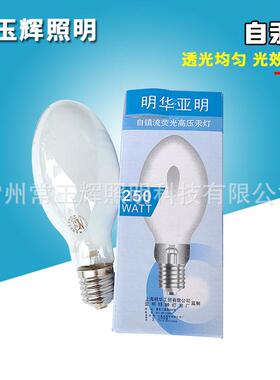 125W160W自汞泡250W450W自镇流汞灯泡荧光高压汞灯灯泡