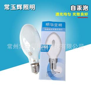 125W160W自汞泡250W450W自镇流汞灯泡荧光高压汞灯灯泡