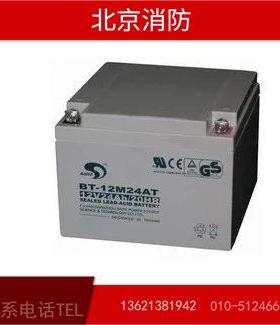 海湾GST500/GST9000主机24AH/12V蓄电池