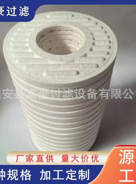 CJC精细滤油机滤芯PA5601355BG15/12西西延森滤清器分离器