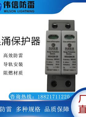 单相60KA电源防雷器WJA220-60电涌保护器一级电涌保护器