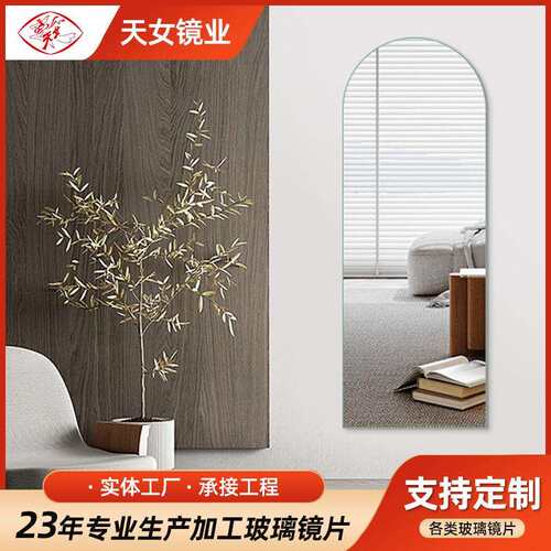 全身镜子穿衣镜异形镜家用试衣镜衣帽间入户试衣全身镜子