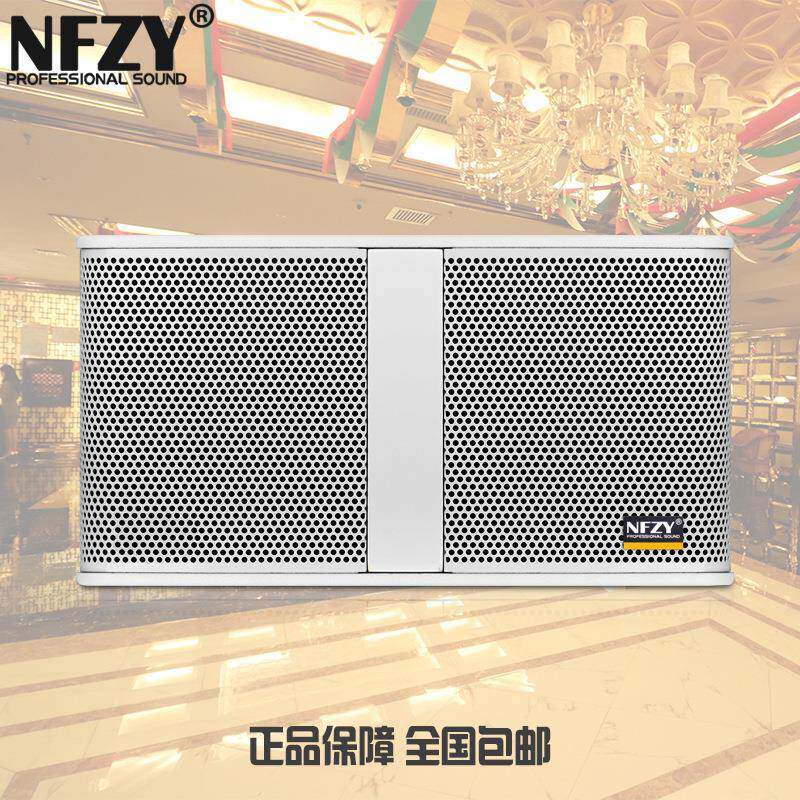 NFZYLS-10卡拉OK吊装KTV扬声器会议舞蹈房定阻壁挂白色音箱
