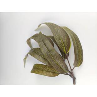 仿真桉树叶单枝花柳叶北欧风家居婚庆装饰绢布假花花材