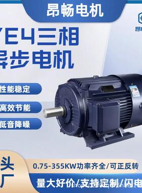 三相异步电动机YE4调速电机2.2/3/4/5.5/11/200/315w电动机