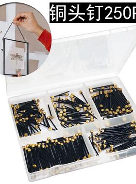 黑色相框铜头钉5规格各50根共250PCS盒装木墙钉子铁钉