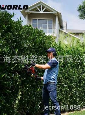 WORLD沃得WT6010二冲程汽油绿篱机园林机械家用多功能绿篱机