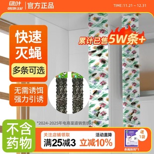 绿叶苍蝇贴强力粘蝇纸板药家用灭蚊虫苍蝇捕捉神器克星