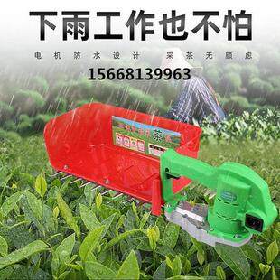 新款无刷锂电采茶机 升级刀片茶叶采摘机 单人小型茶树修剪绿篱机