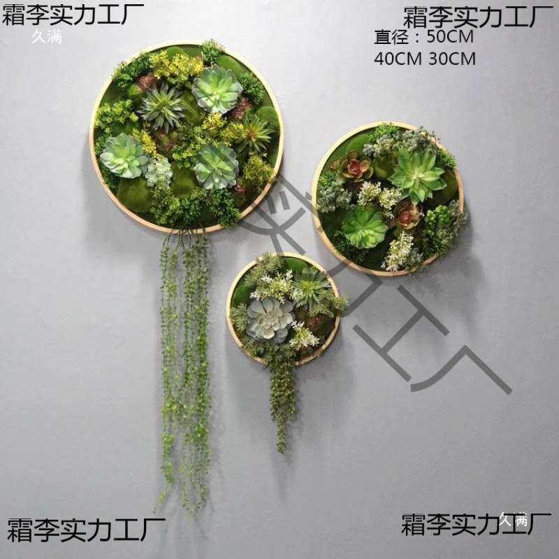 创意绿植墙体植圆形墙壁餐厅墙面框装饰壁挂花植物挂墙客厅