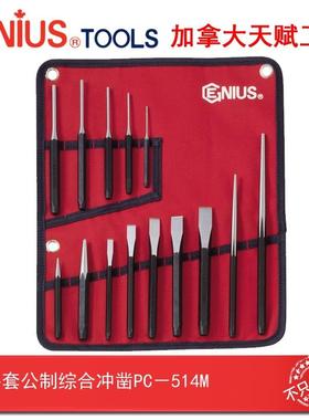 Genius天赋进口工具14件套公制综合冲凿组冲子凿子组PC-514M