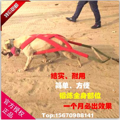 大型猛犬比特犬杜高犬拖重背带胸背斗狗训练装备负重拖带铁链轮胎