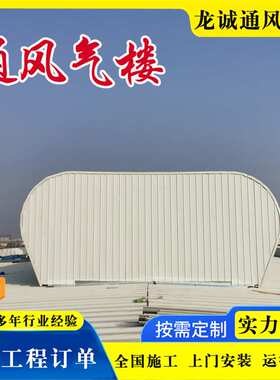 TC4AB2530n流线型顺坡屋面自然通风器通风天窗厂房启闭式气楼排风