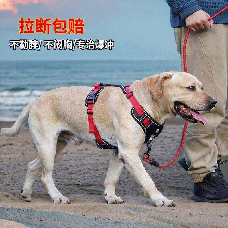 狗狗的牵引绳夏季新款背心式大中型犬狗狗工字型胸背不勒脖防爆冲