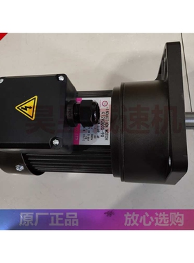 G11V200S-12.5 G12V200S-90 G13V400S-100 KLS电机立式排屑机马达