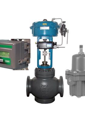 吴忠仪表阀门配套|Fisher 高性能蝶阀配DVC2000和过滤减压阀