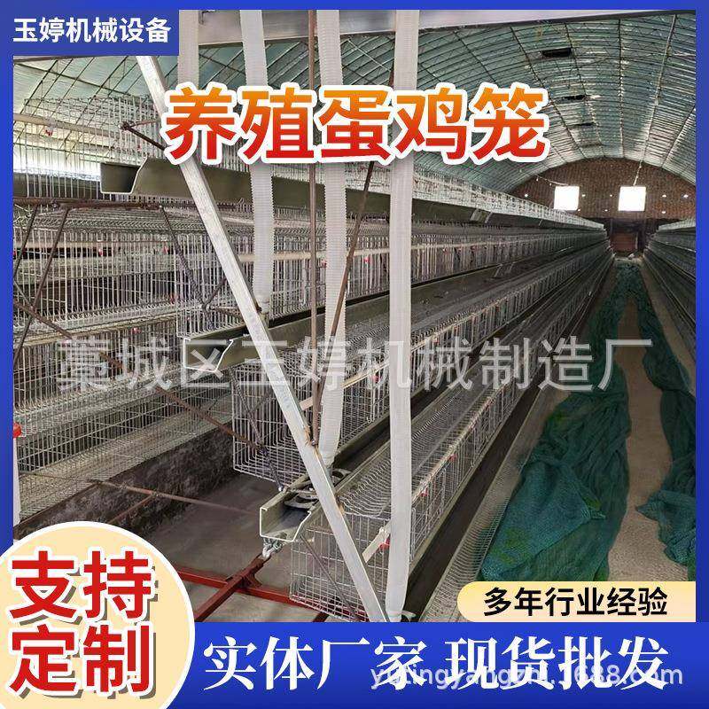 蛋鸡笼厂家镀锌养殖蛋鸡笼层叠式阶梯式鸡笼全自动养殖场,畜牧/养殖物资,特种养殖设备,淘宝优惠券,粉丝福利购,淘宝优惠卷