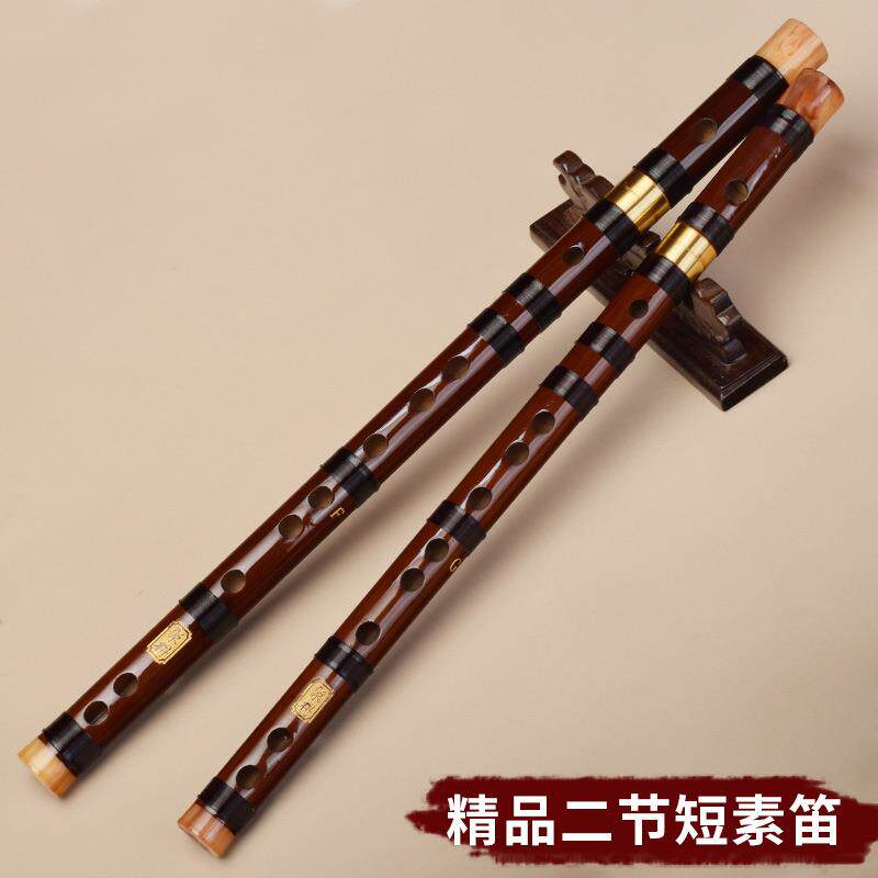 笛子竹笛横笛二节成人初学学生短笛零基础自学便携演奏乐器素笛