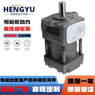 G50FNB5 C63NB4 G160F压力油泵 G16FNB3 液压泵折弯机齿轮泵NBZ2