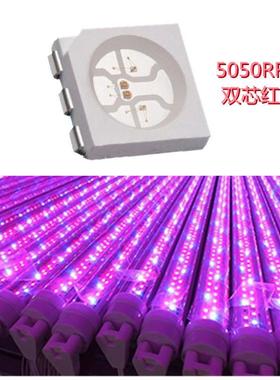 深圳现货5050RRGB灯珠晶元14MIL双芯红光水族灯专用LED贴片
