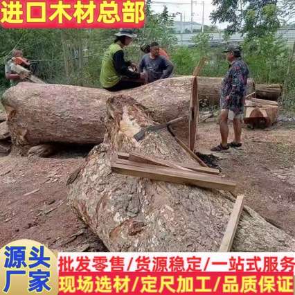 南美黑胡桃原木 斐济雨木  家具 茶盘大板 家装料 南美琥珀木