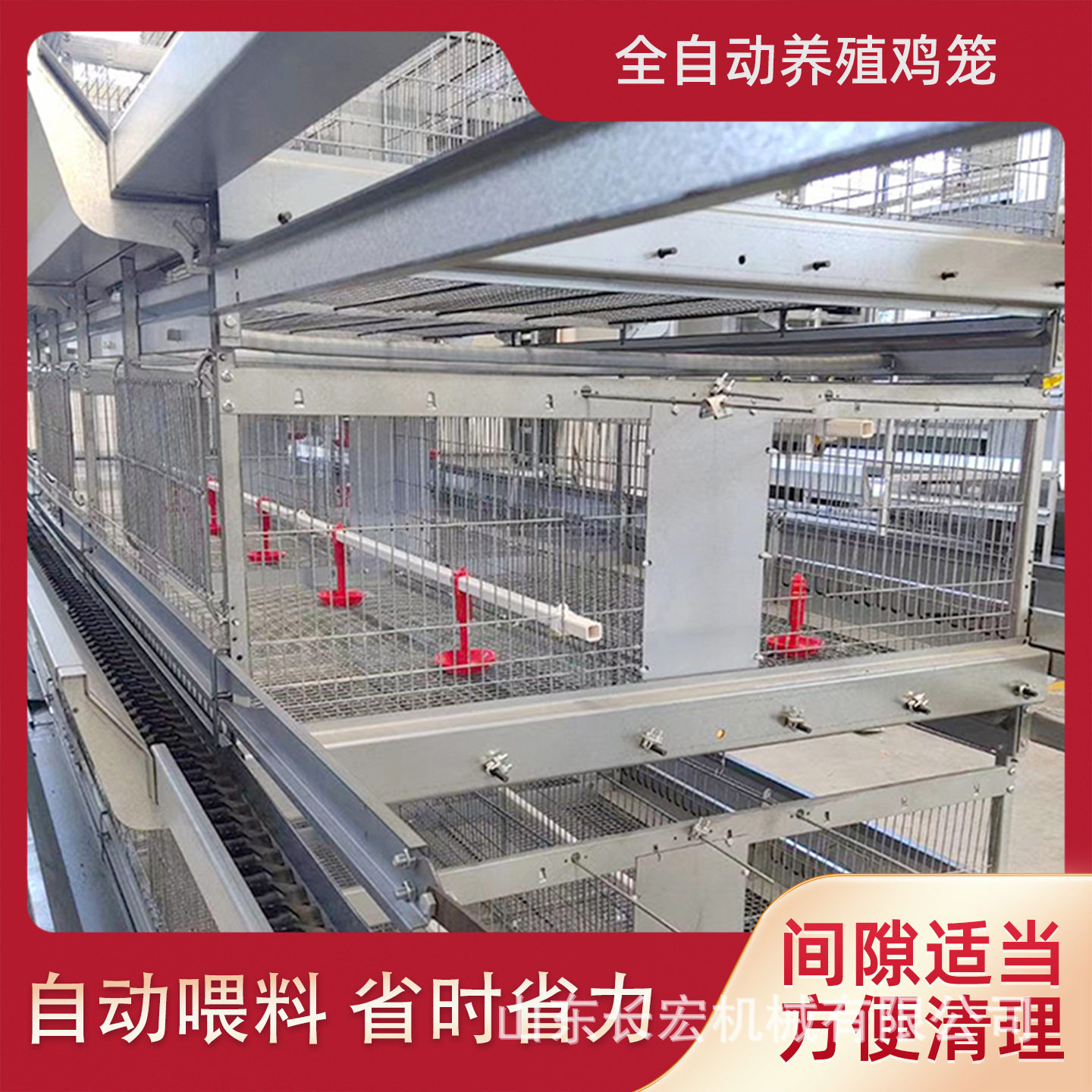 鸽子笼加粗阶梯蛋鸡笼养殖场层叠肉鸡H型笼鹌鹑笼肉鸡A型笼蛋鸡笼